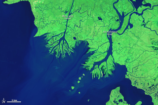 Illustration for article titled Strange New Land Is Growing Along Louisiana's Disappearing CoastlineĀ